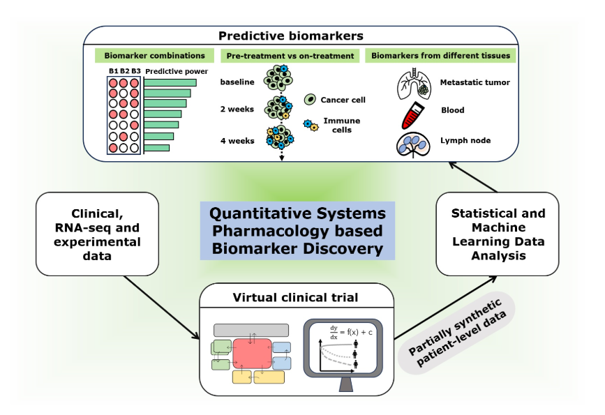 Computational Tool Developed to Predict Immunotherapy Outcomes for Patients with Metastatic Breast Cancer