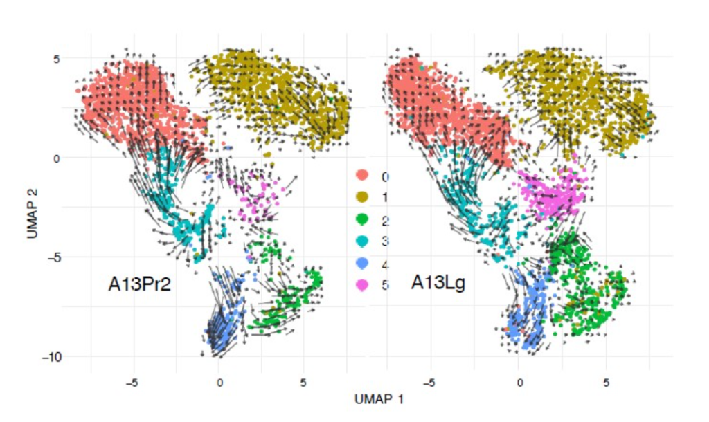 Growth of Spreading Pancreatic Cancer Fueled By “Under-Appreciated” Epigenetic Changes