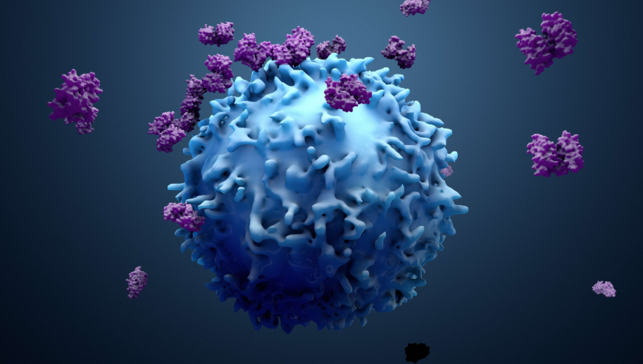 Single Nutrient Fuels Cancer-Fighting Power of T Cells