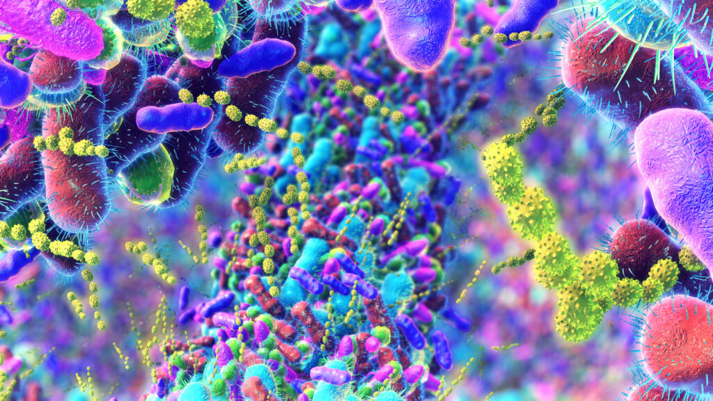 Solving a 15-Year Mystery: Scientists Discover How Gut Bacteria Toxin Invades Colon Cells to Trigger Cancer