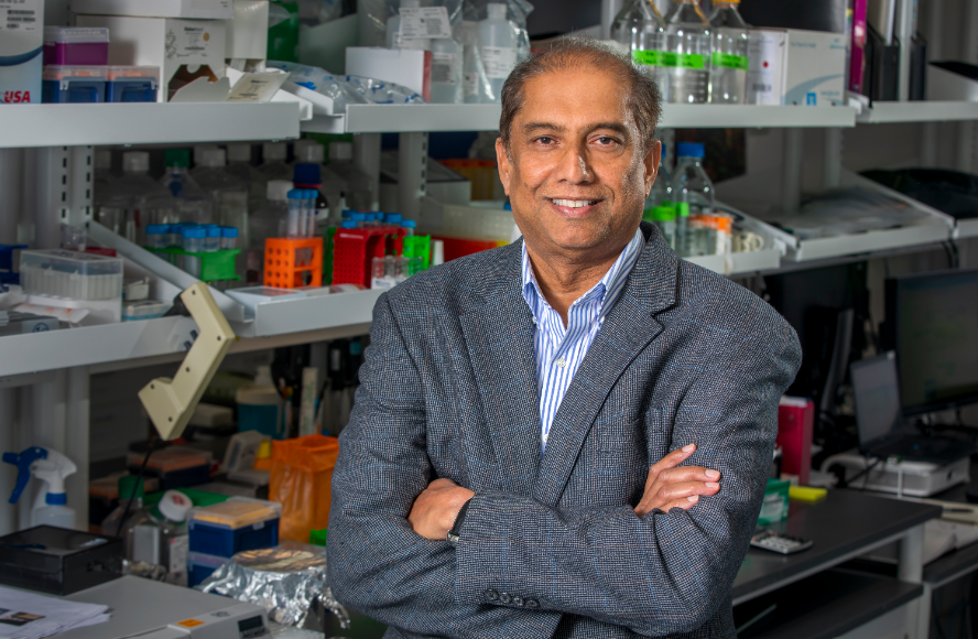 Blocking Energy Metabolism May Help Treat Aggressive Pediatric Brain Tumor